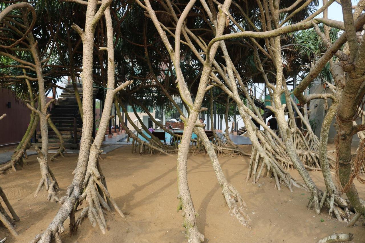 אוסווטקיאווה Saprin Beach Resort מראה חיצוני תמונה